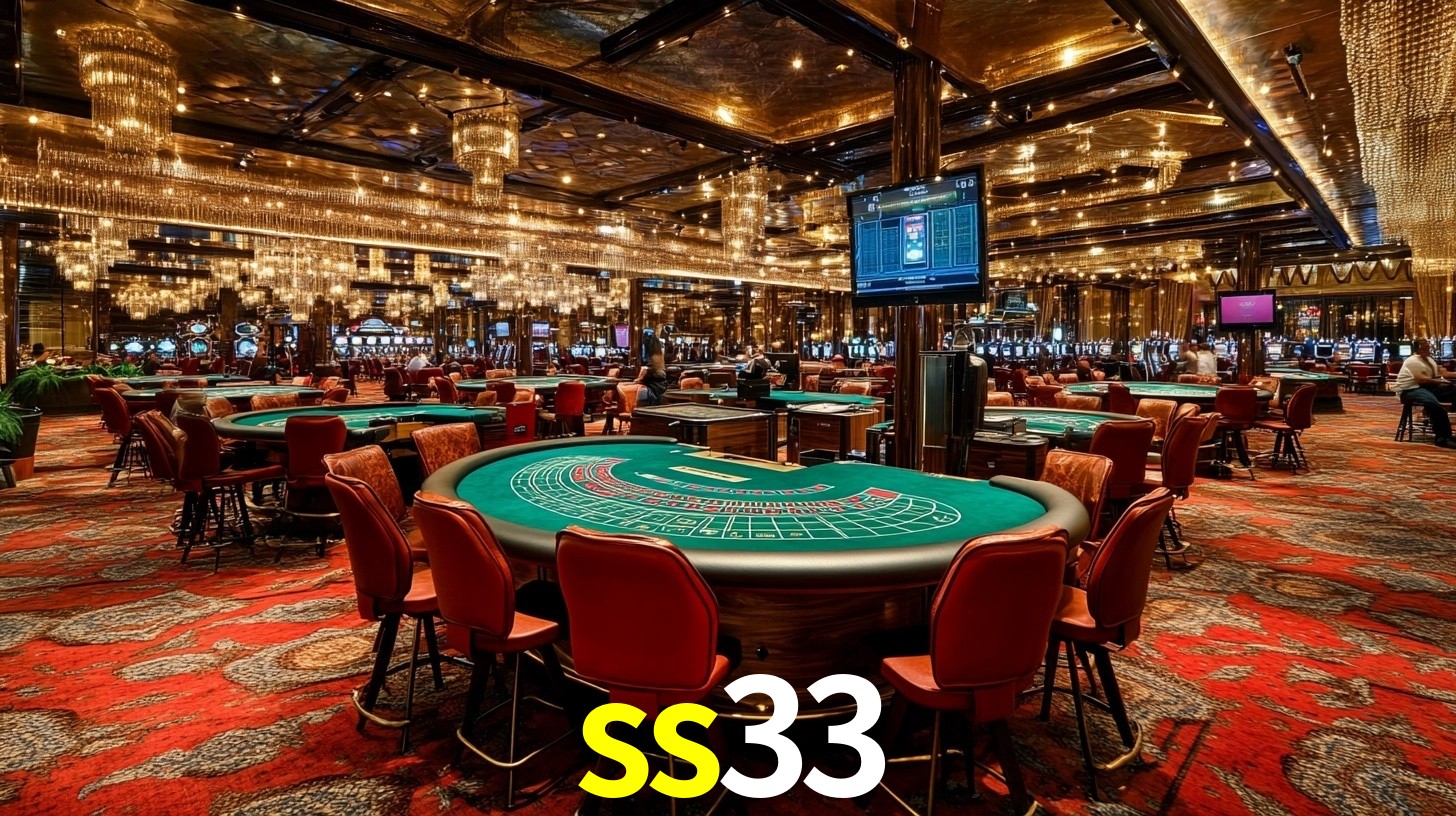 ss33