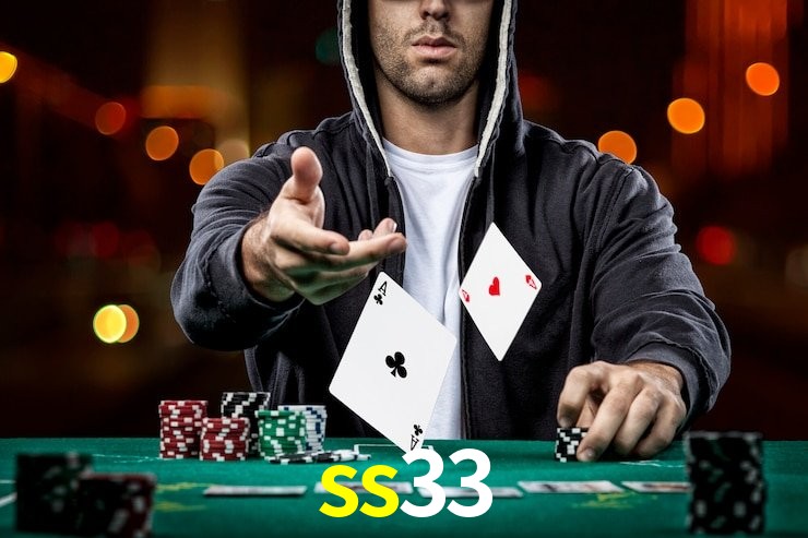 ss33