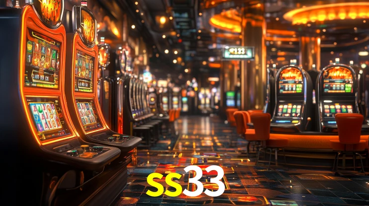Premium Interface ss33